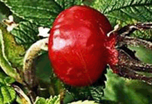 �������л��ʺͻ��ʱȸߵͣ������书�ܺ��б�Ҫ��