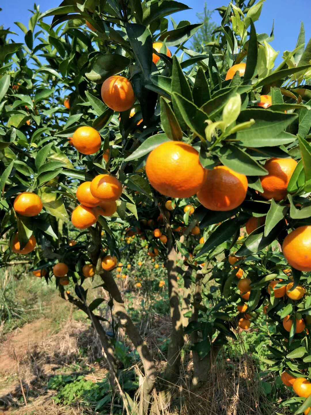 �Ĵ�������������������Ķ�ָ�ʾ��