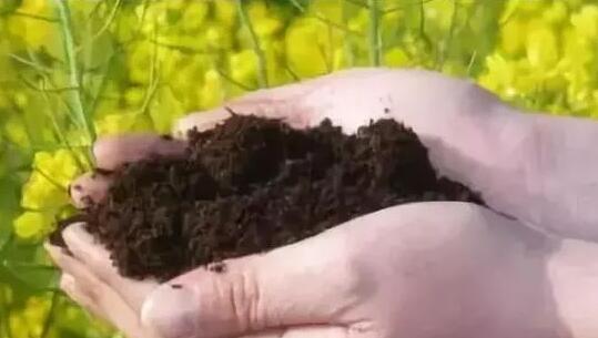 ΪɶҪ���л��ʣ����������ع⣡