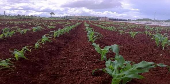 �л��ʰ�����ȫ����ԭ�ϣ�